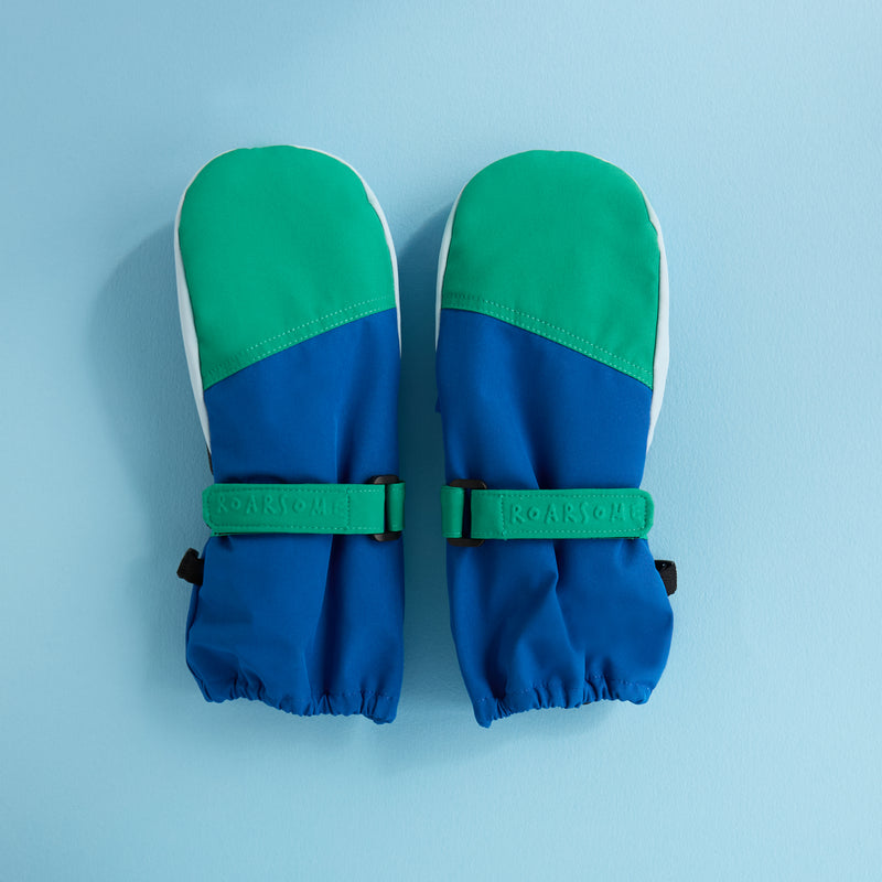 Kids Ski Gloves - Blue/Green