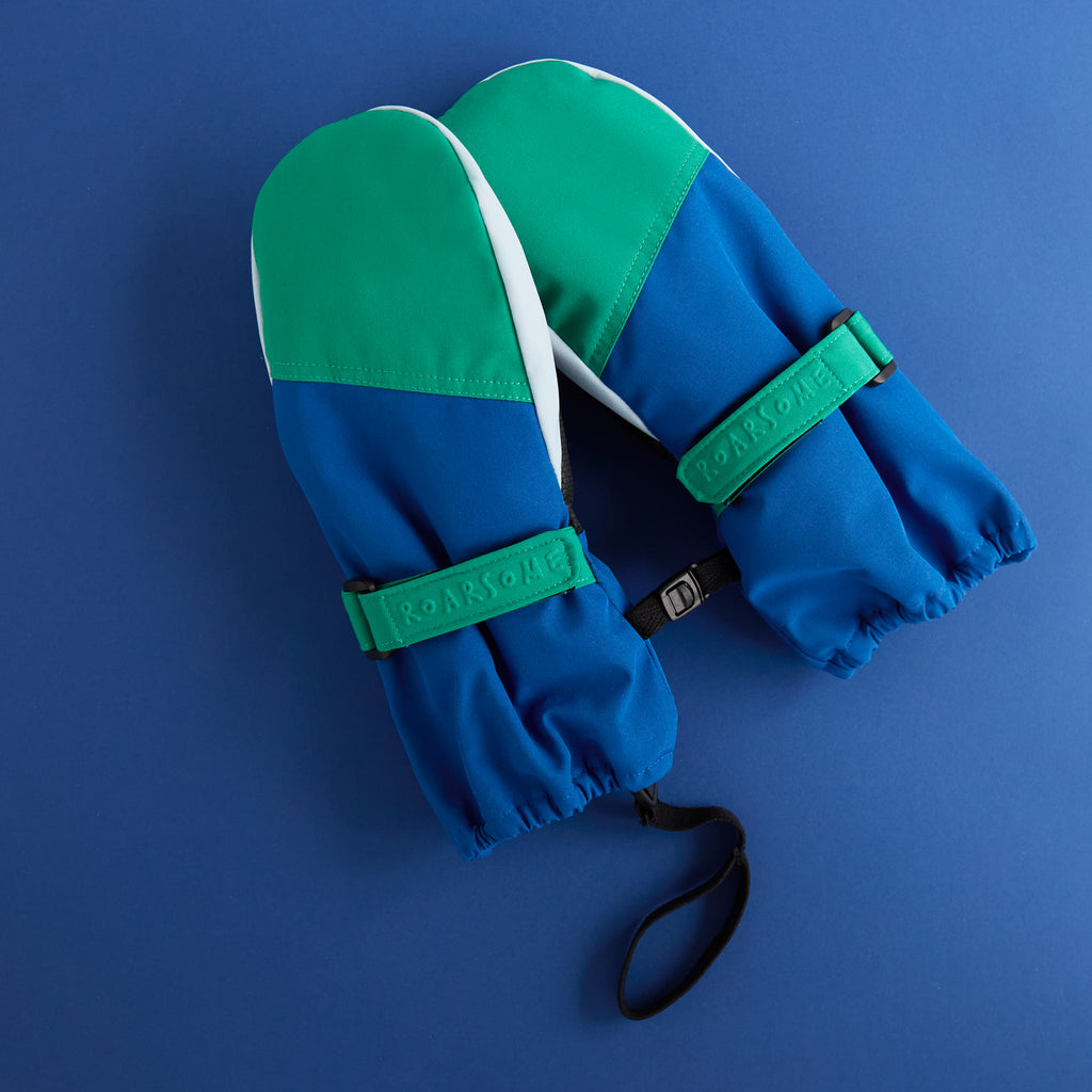 Kids Ski Gloves - Blue/Green