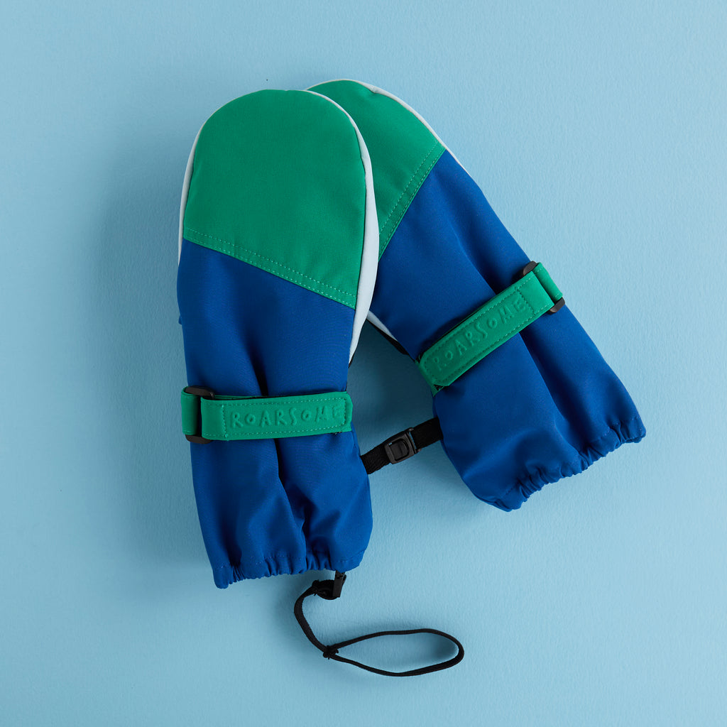 Kids Ski Gloves - Blue/Green